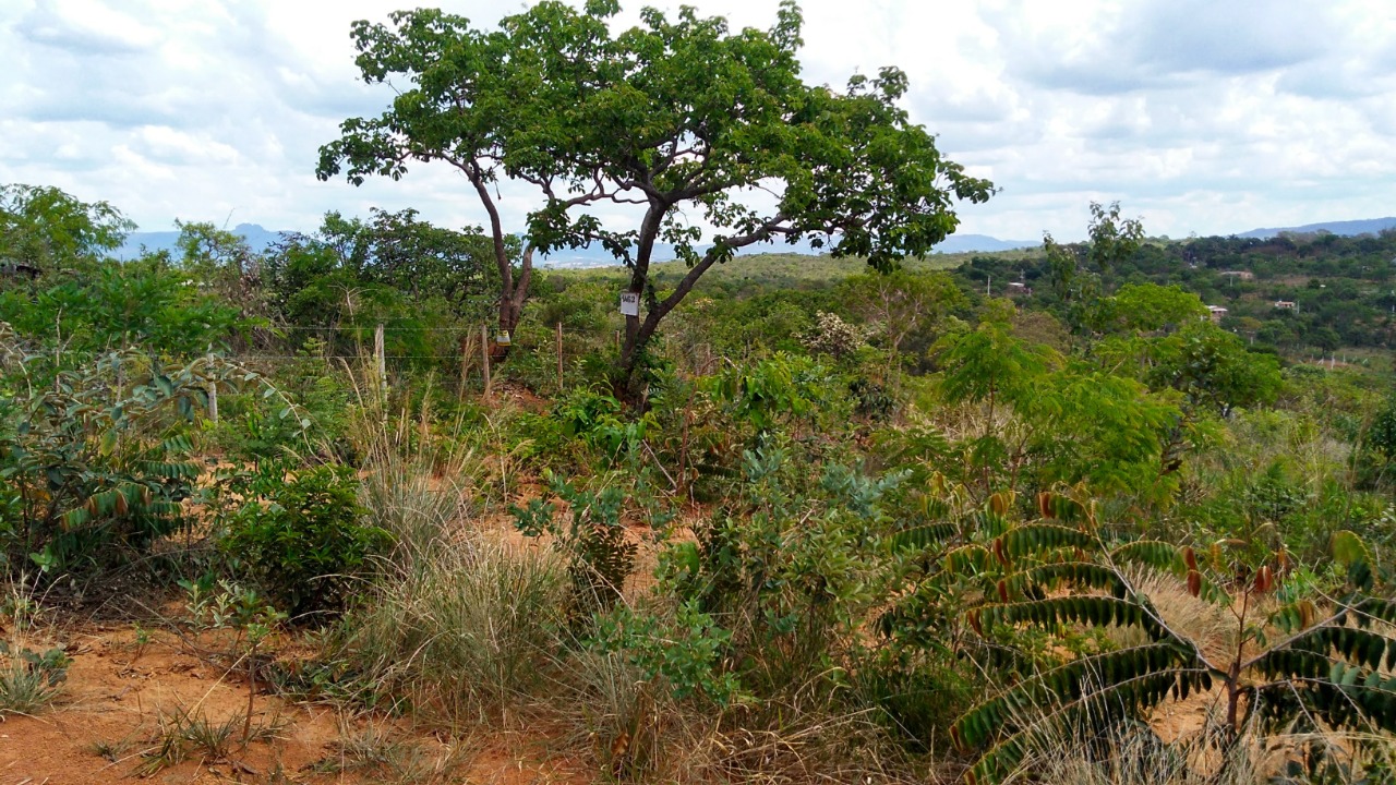 Terreno à venda, 360m² - Foto 9