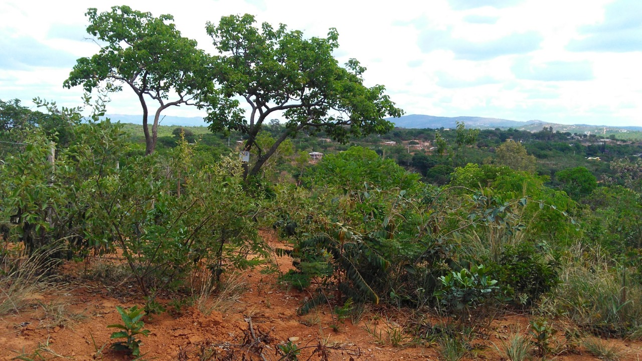 Terreno à venda, 360m² - Foto 1