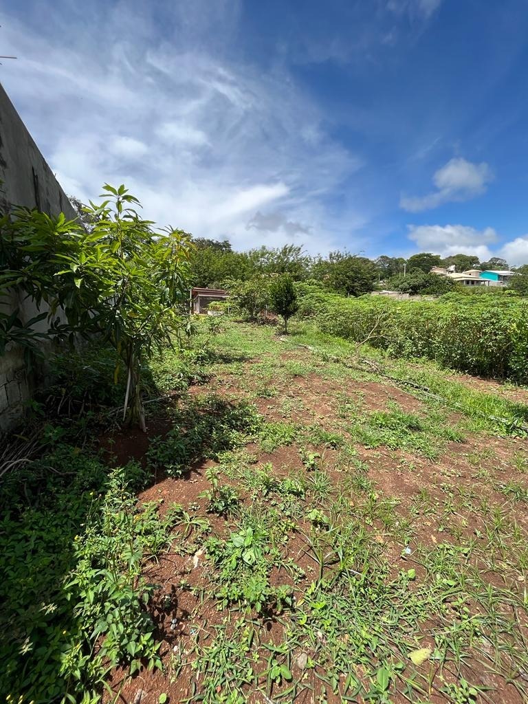 Chácara à venda com 1 quarto, 1500m² - Foto 9