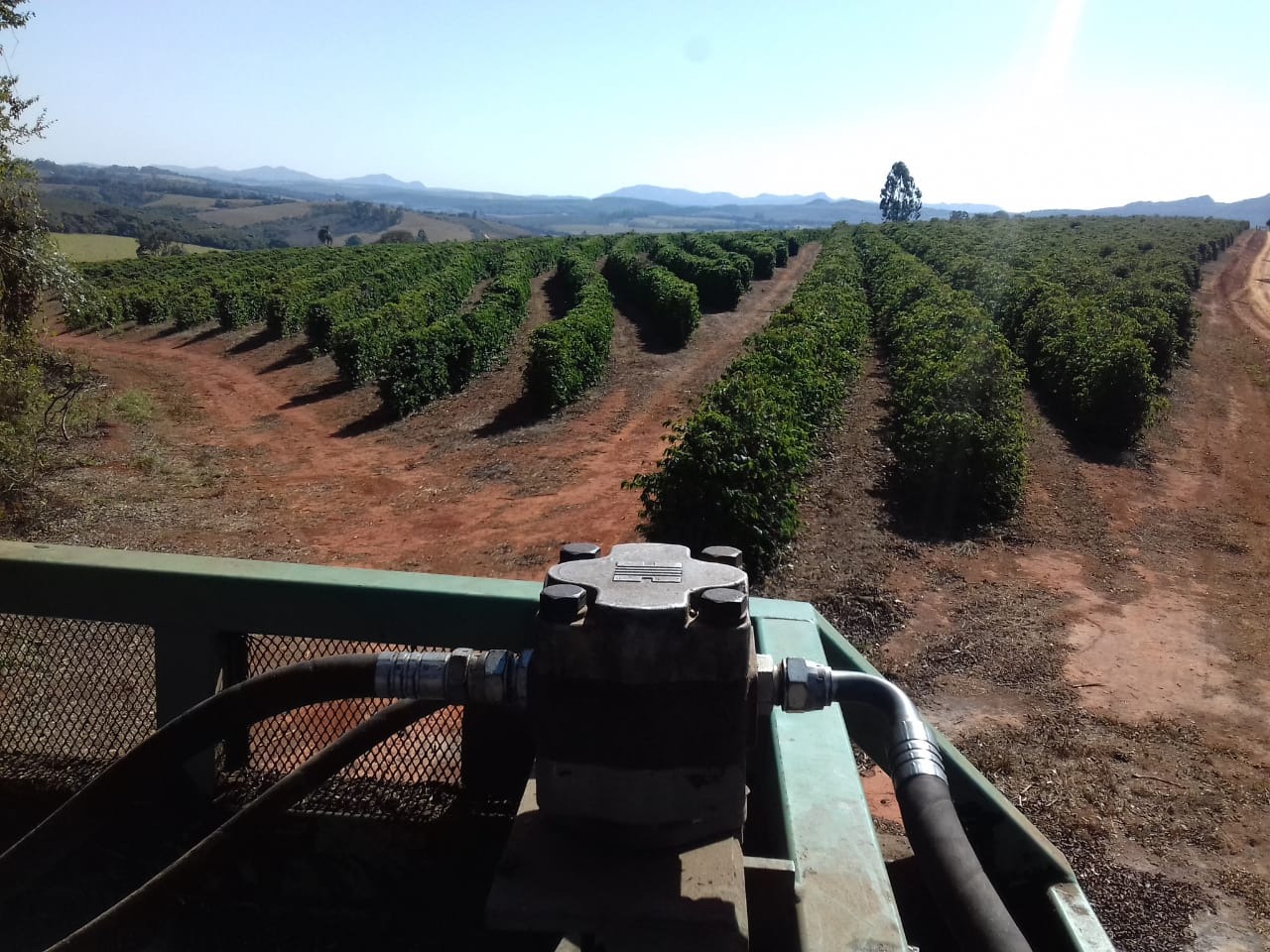 Chácara, 4 quartos, 239 hectares - Foto 1