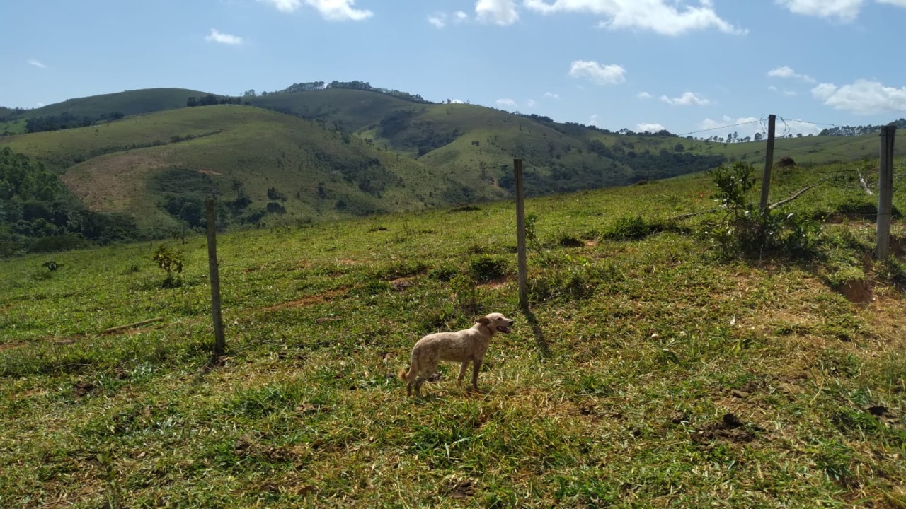 Chácara à venda com 1 quarto, 3000000m² - Foto 10