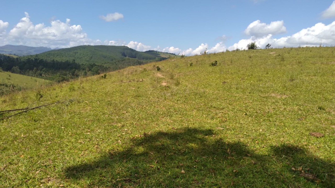 Chácara à venda com 1 quarto, 3000000m² - Foto 11