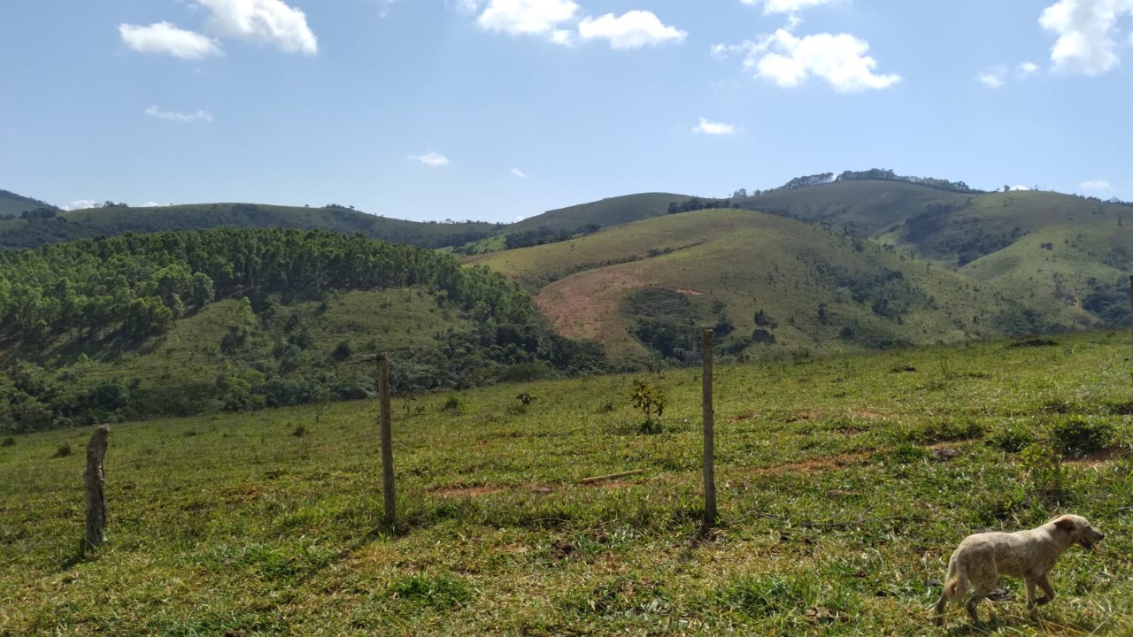 Chácara à venda com 1 quarto, 3000000m² - Foto 13