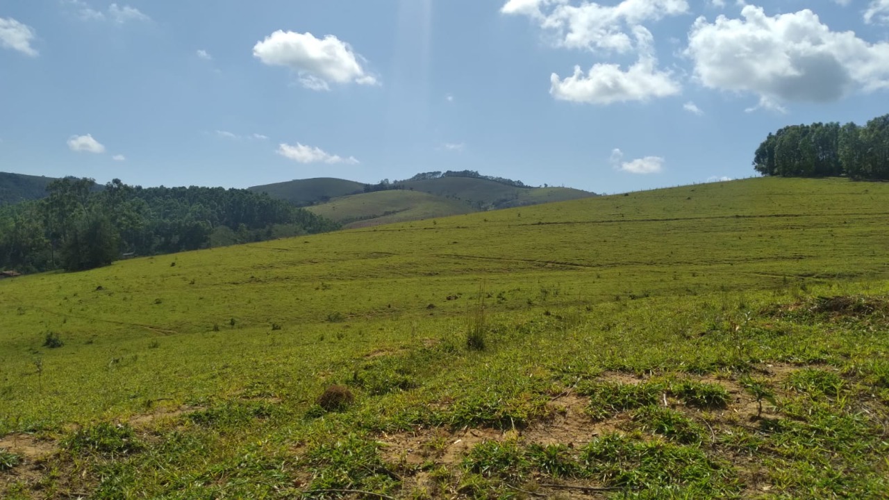 Chácara à venda com 1 quarto, 3000000m² - Foto 14