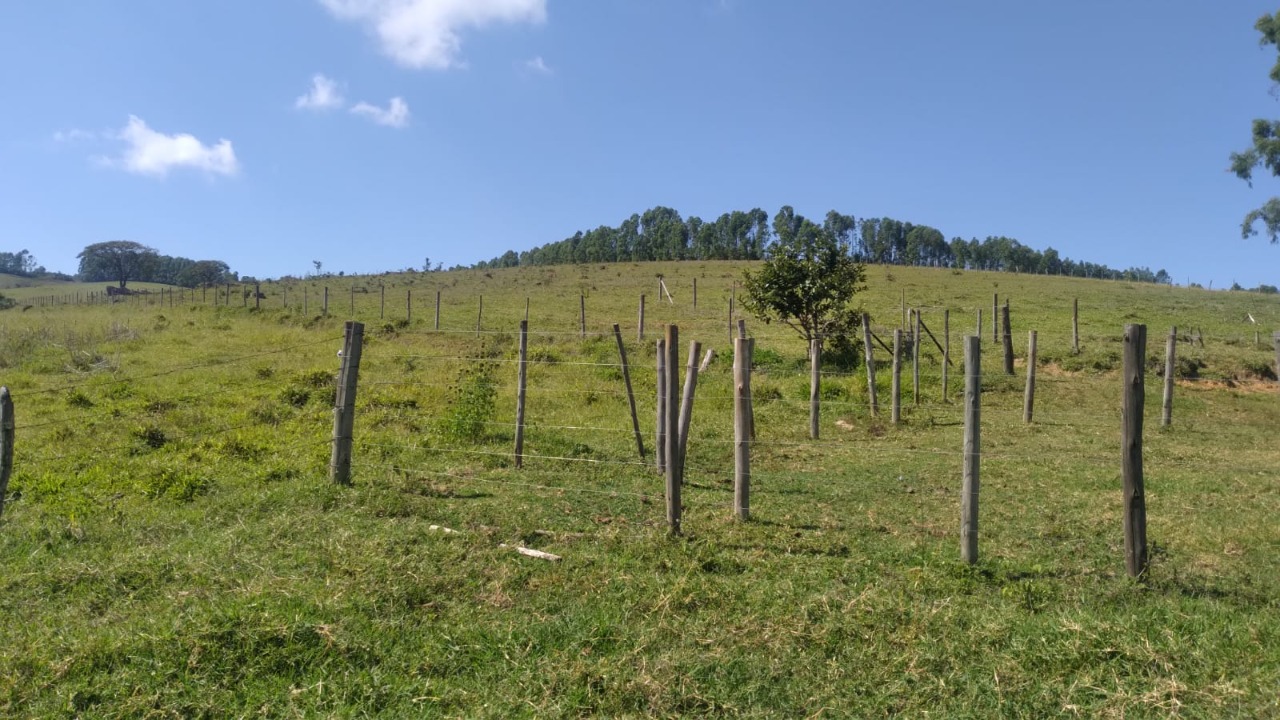 Chácara à venda com 1 quarto, 3000000m² - Foto 18