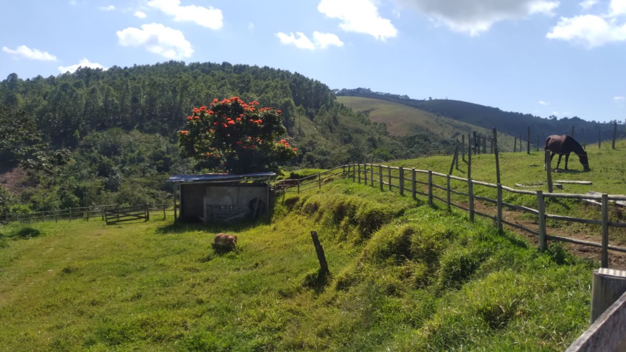 Chácara à venda com 1 quarto, 3000000m² - Foto 22