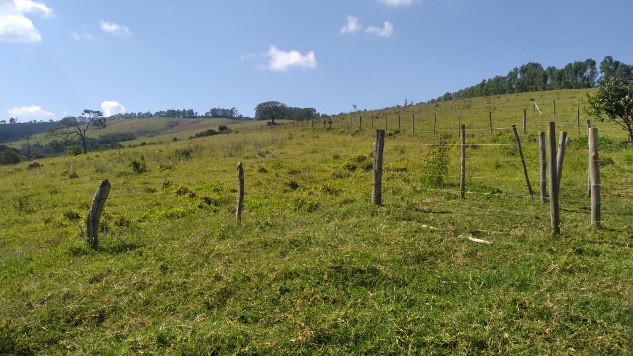 Chácara à venda com 1 quarto, 3000000m² - Foto 21