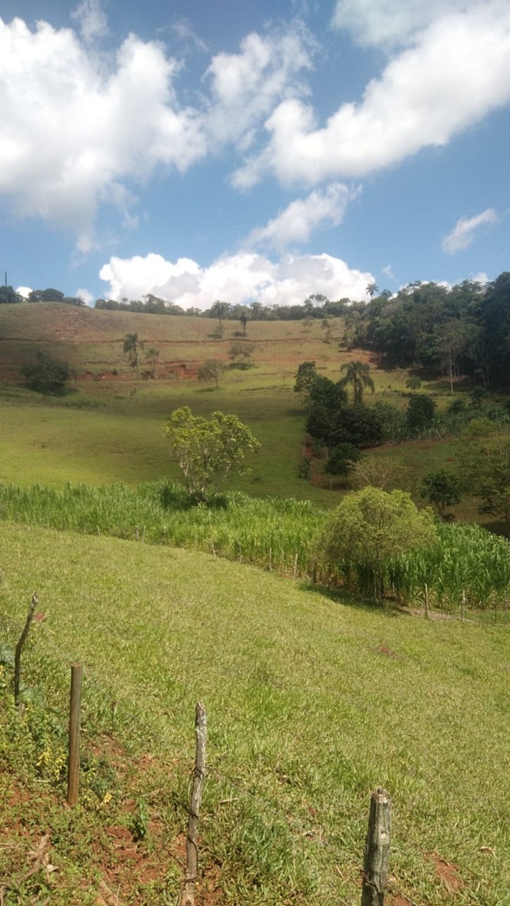 Chácara à venda com 3 quartos, 130000m² - Foto 10