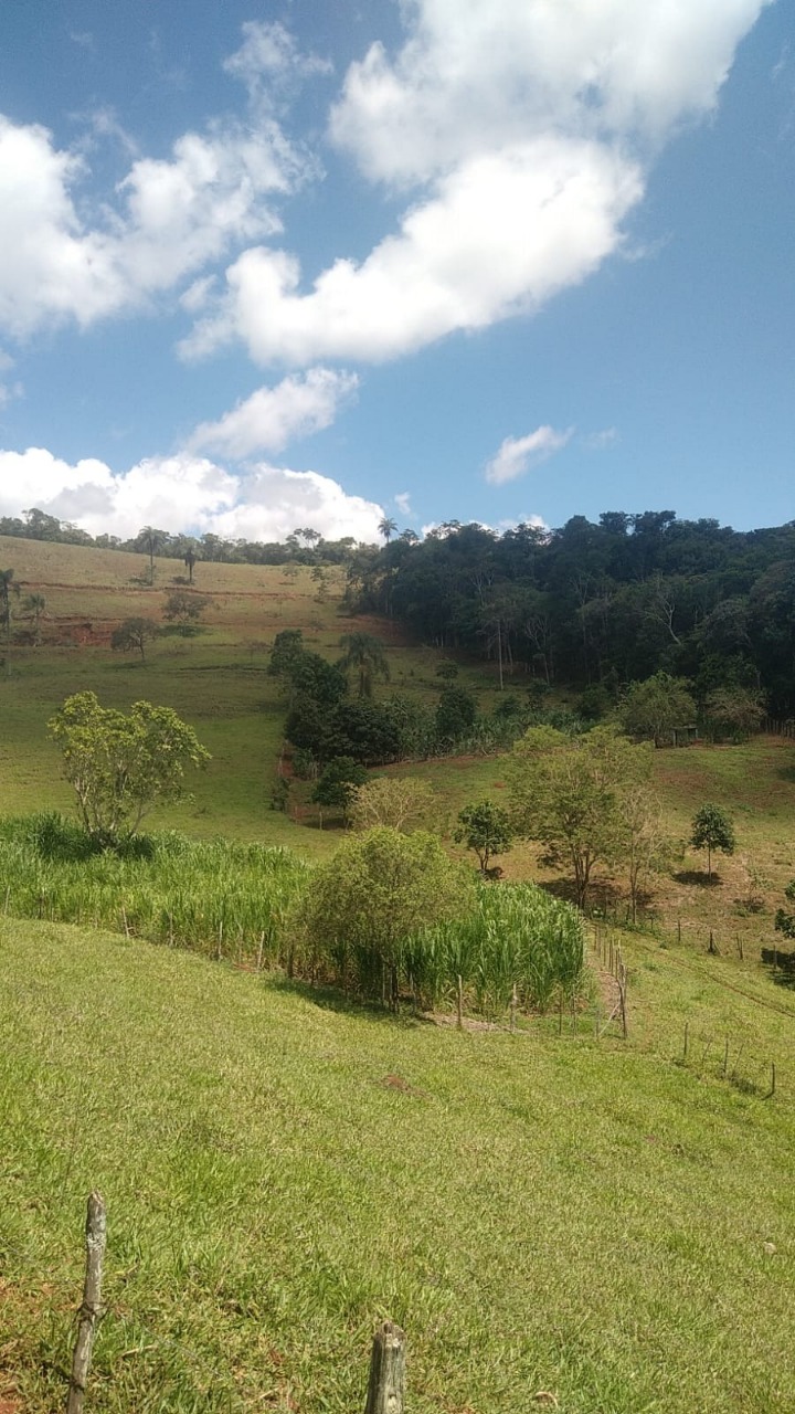 Chácara à venda com 3 quartos, 130000m² - Foto 11