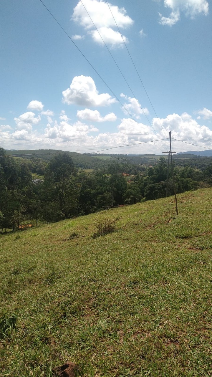 Chácara à venda com 3 quartos, 130000m² - Foto 14