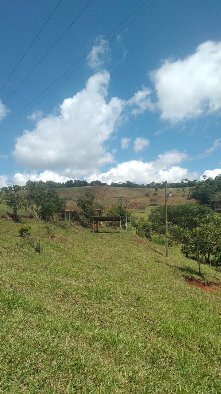 Chácara à venda com 3 quartos, 130000m² - Foto 15