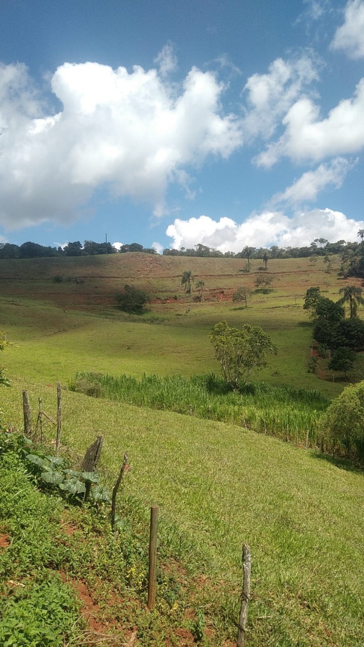 Chácara à venda com 3 quartos, 130000m² - Foto 16