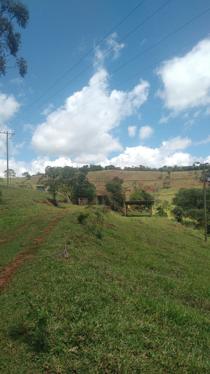 Chácara à venda com 3 quartos, 130000m² - Foto 17