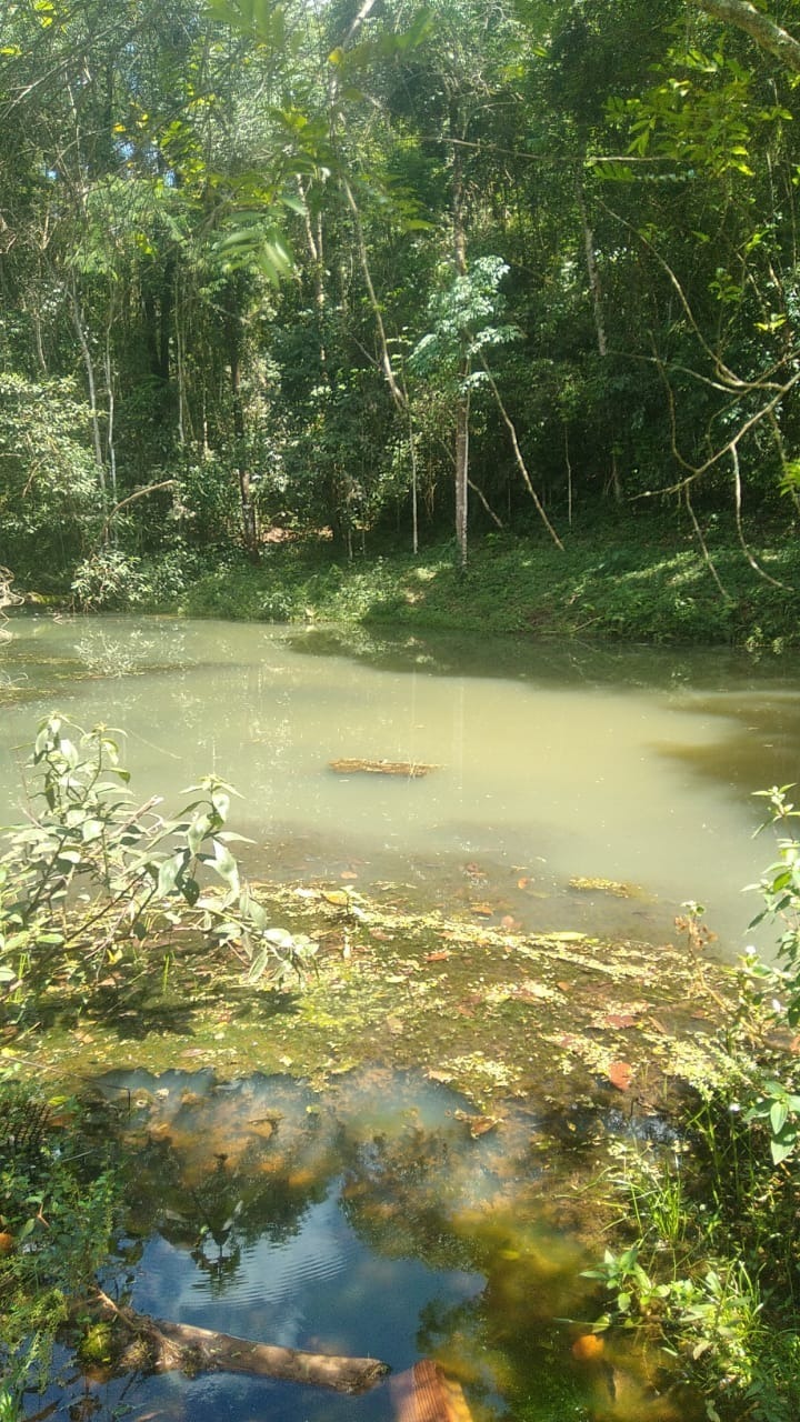 Chácara à venda com 3 quartos, 130000m² - Foto 21