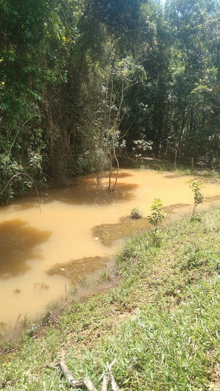 Chácara à venda com 3 quartos, 130000m² - Foto 20