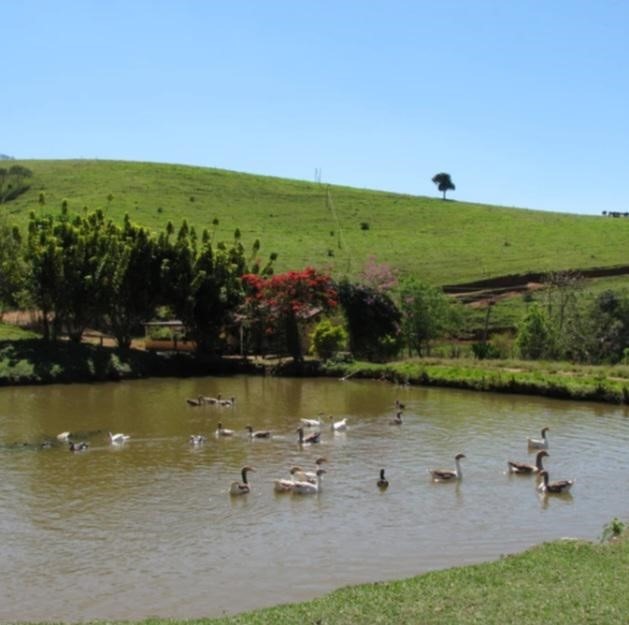 Chácara à venda com 5 quartos, 1010000m² - Foto 8