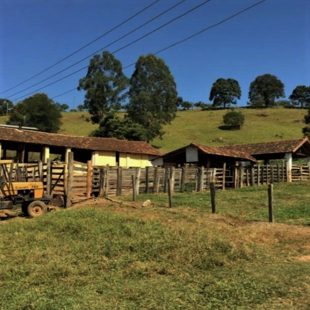 Chácara à venda com 5 quartos, 1010000m² - Foto 22