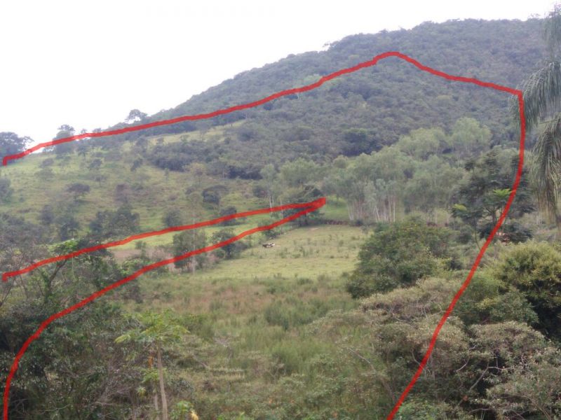 Chácara à venda com 1 quarto, 80000m² - Foto 4