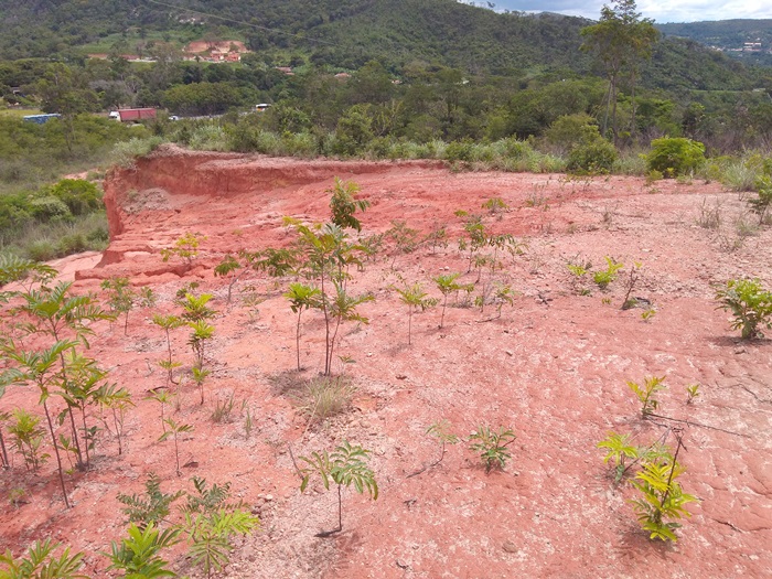 Terreno para alugar, 30000m² - Foto 5