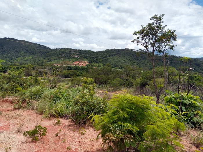 Terreno para alugar, 30000m² - Foto 7