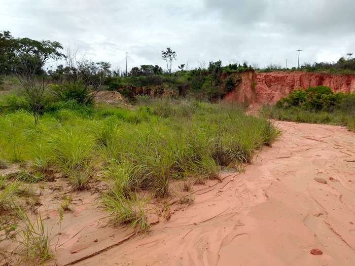 Terreno para alugar, 30000m² - Foto 6