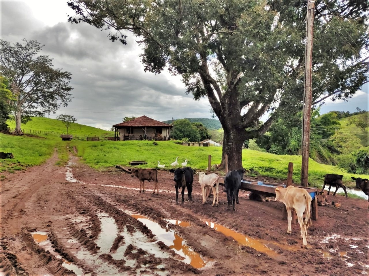 Chácara à venda com 4 quartos, 4840000m² - Foto 10