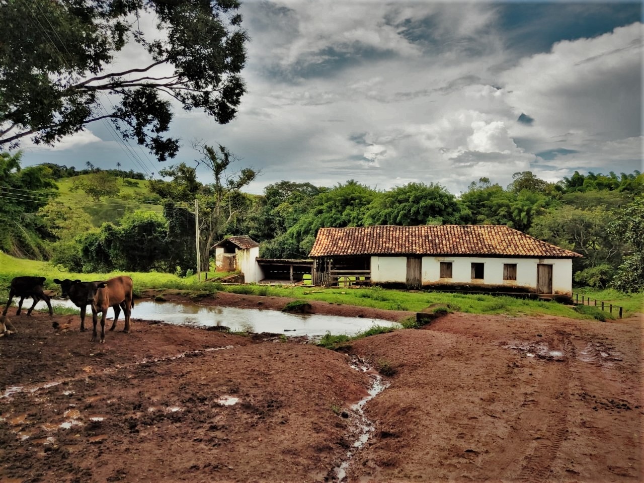 Chácara à venda com 4 quartos, 4840000m² - Foto 5