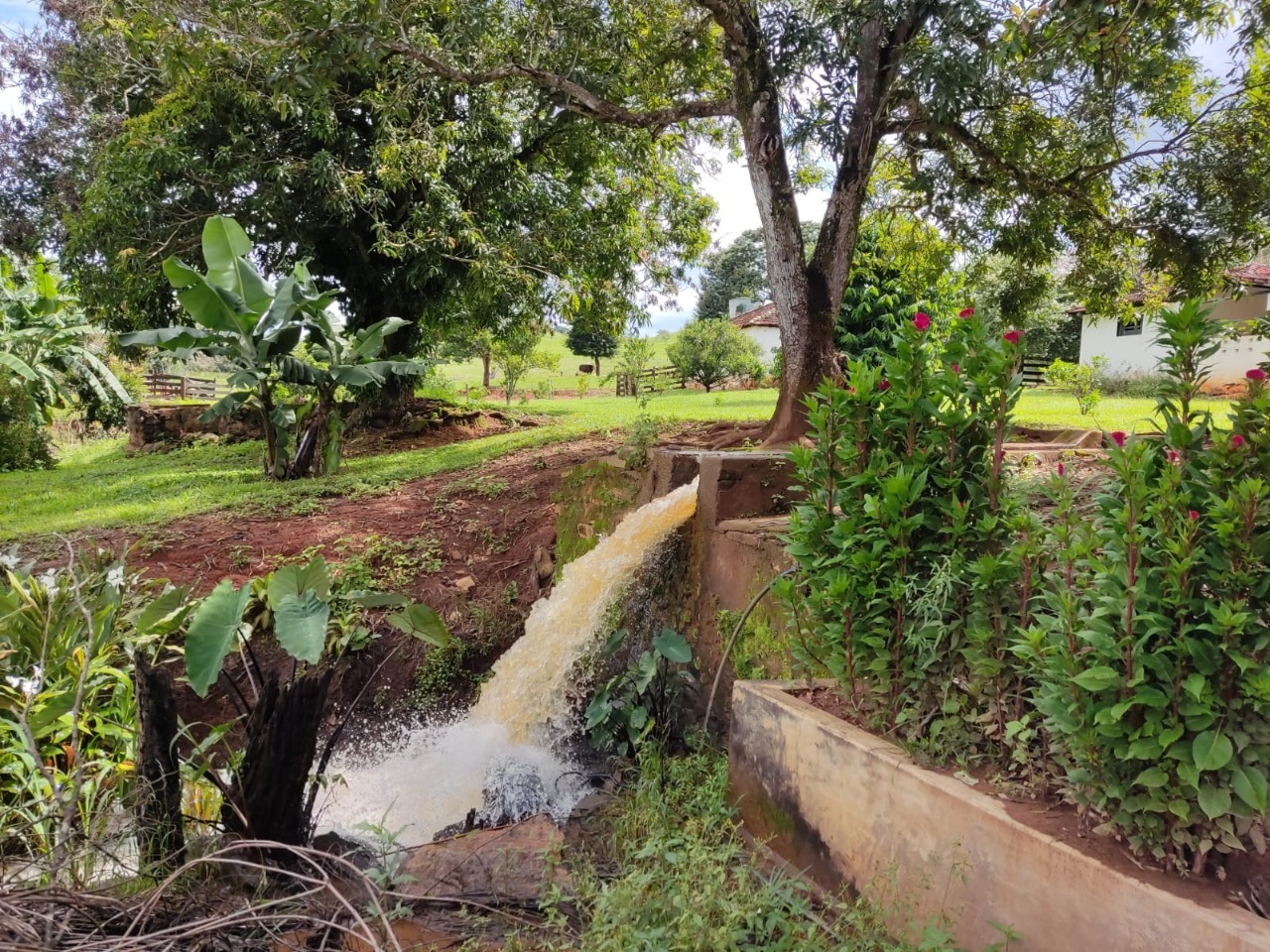 Chácara à venda com 4 quartos, 4840000m² - Foto 13