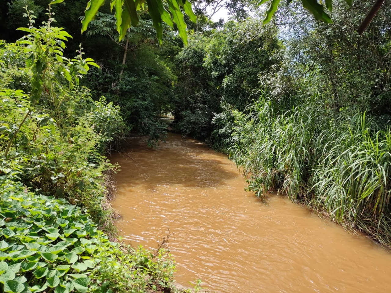 Chácara à venda com 4 quartos, 4840000m² - Foto 16