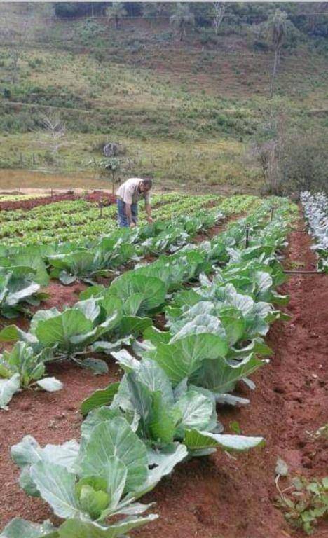 Terreno à venda, 40000m² - Foto 1