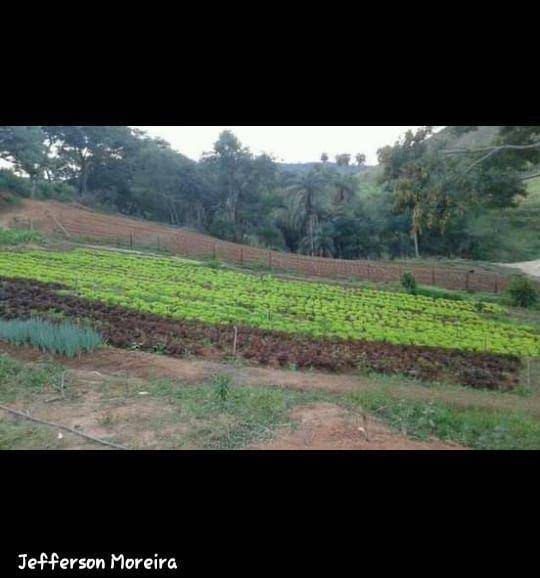 Terreno à venda, 40000m² - Foto 3