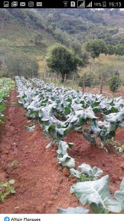 Terreno à venda, 40000m² - Foto 20