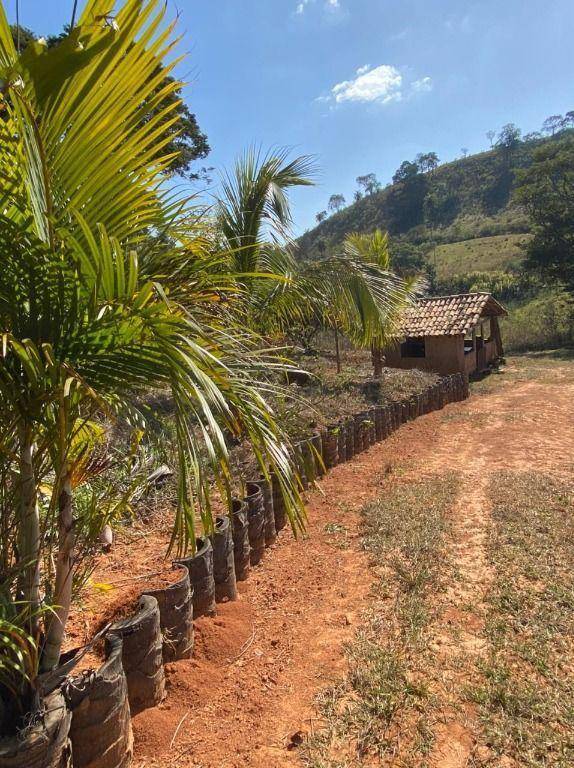 Terreno à venda, 40000m² - Foto 10