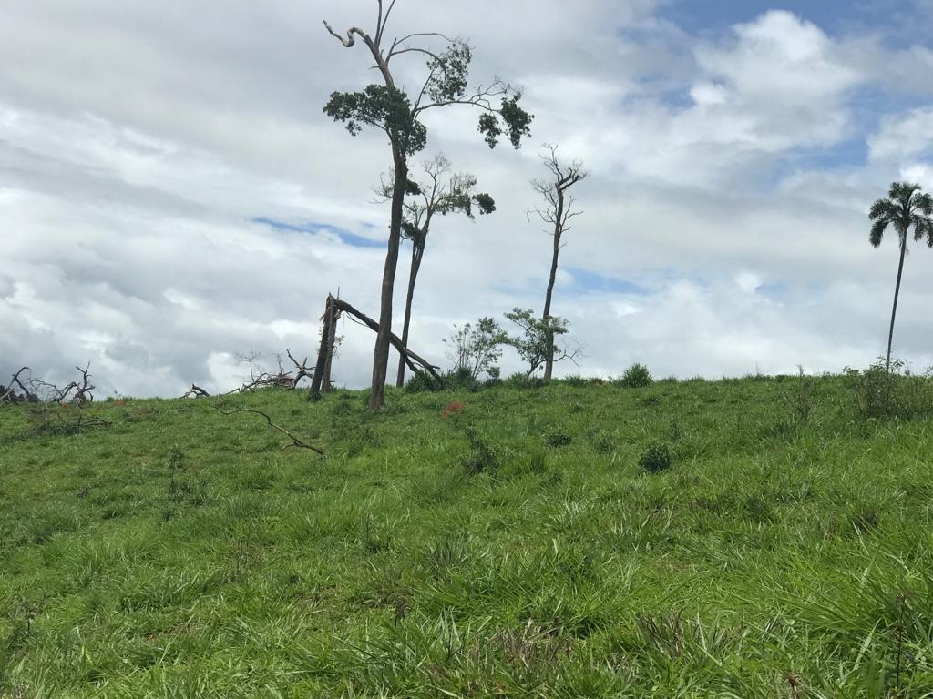 Terreno à venda, 32900m² - Foto 14