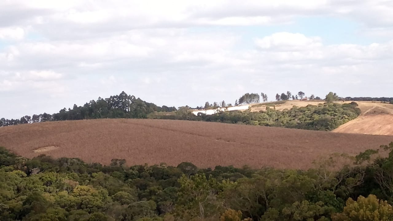 Chácara à venda com 3 quartos, 1760000m² - Foto 6