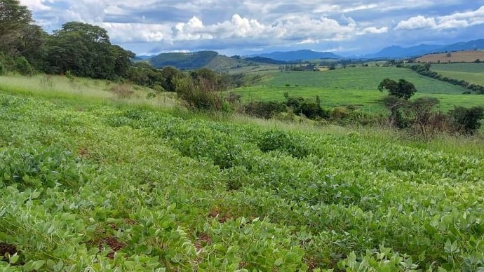 Chácara à venda com 3 quartos, 1760000m² - Foto 14