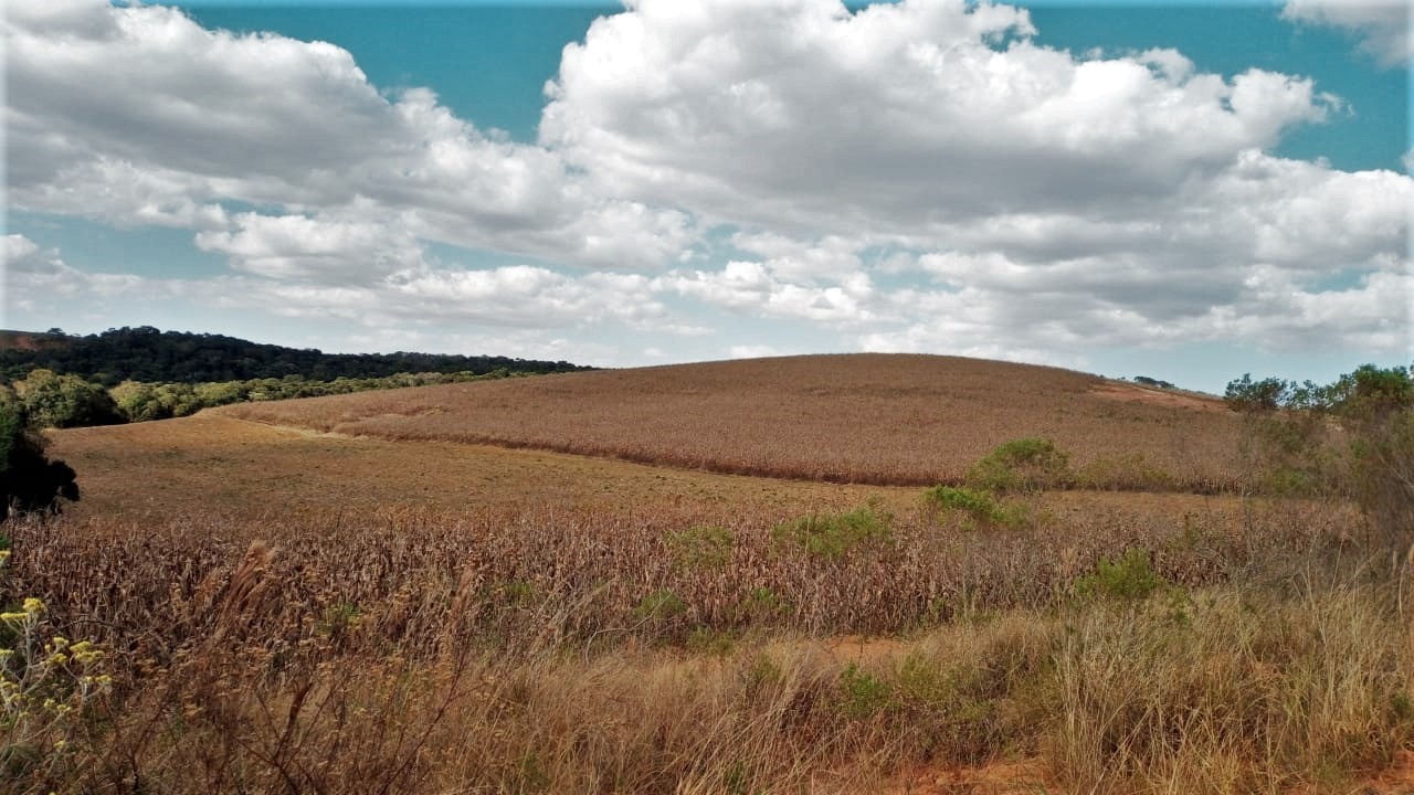 Chácara à venda com 3 quartos, 1760000m² - Foto 7