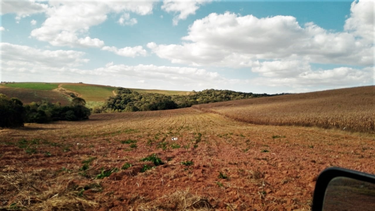 Chácara à venda com 3 quartos, 1760000m² - Foto 9