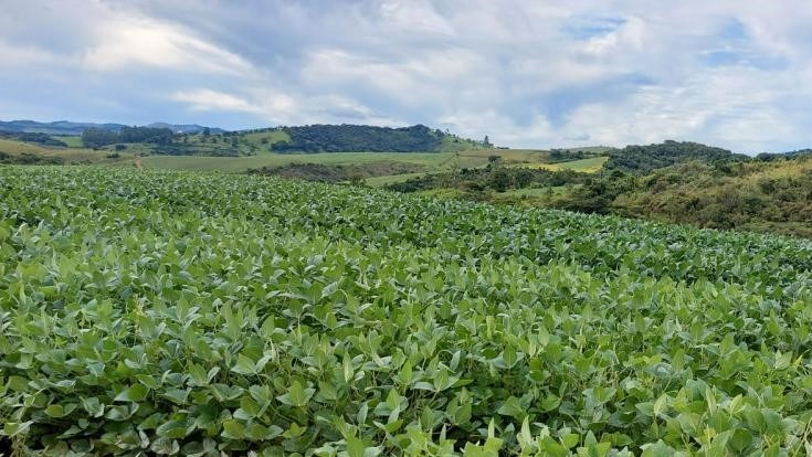 Chácara à venda com 3 quartos, 1760000m² - Foto 18