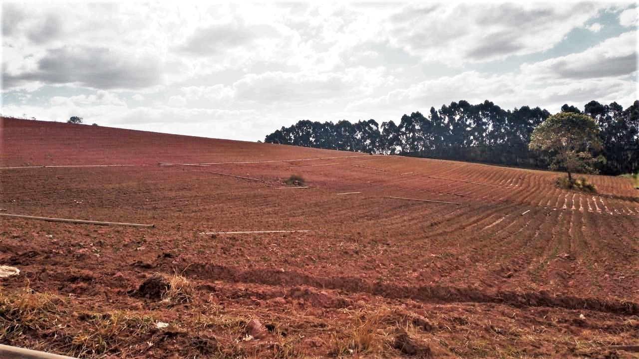 Chácara à venda com 3 quartos, 1760000m² - Foto 12