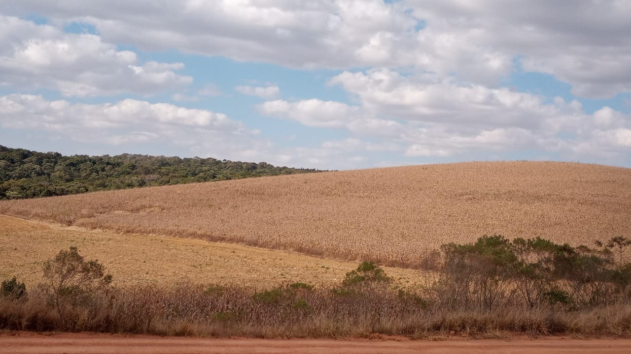 Chácara à venda com 3 quartos, 1760000m² - Foto 24