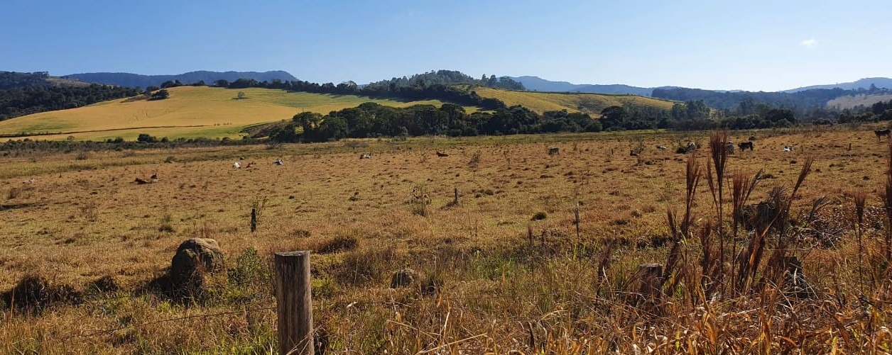 Chácara à venda com 6 quartos, 4578000m² - Foto 8