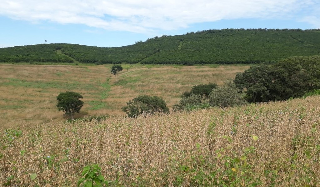 Chácara à venda com 6 quartos, 4578000m² - Foto 12