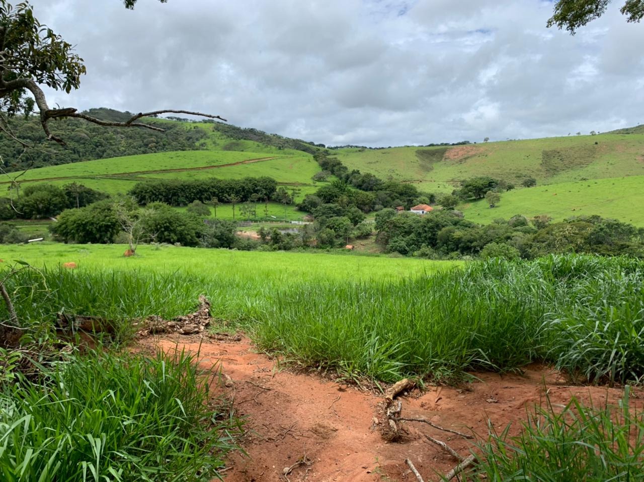 Chácara à venda com 6 quartos, 4578000m² - Foto 21