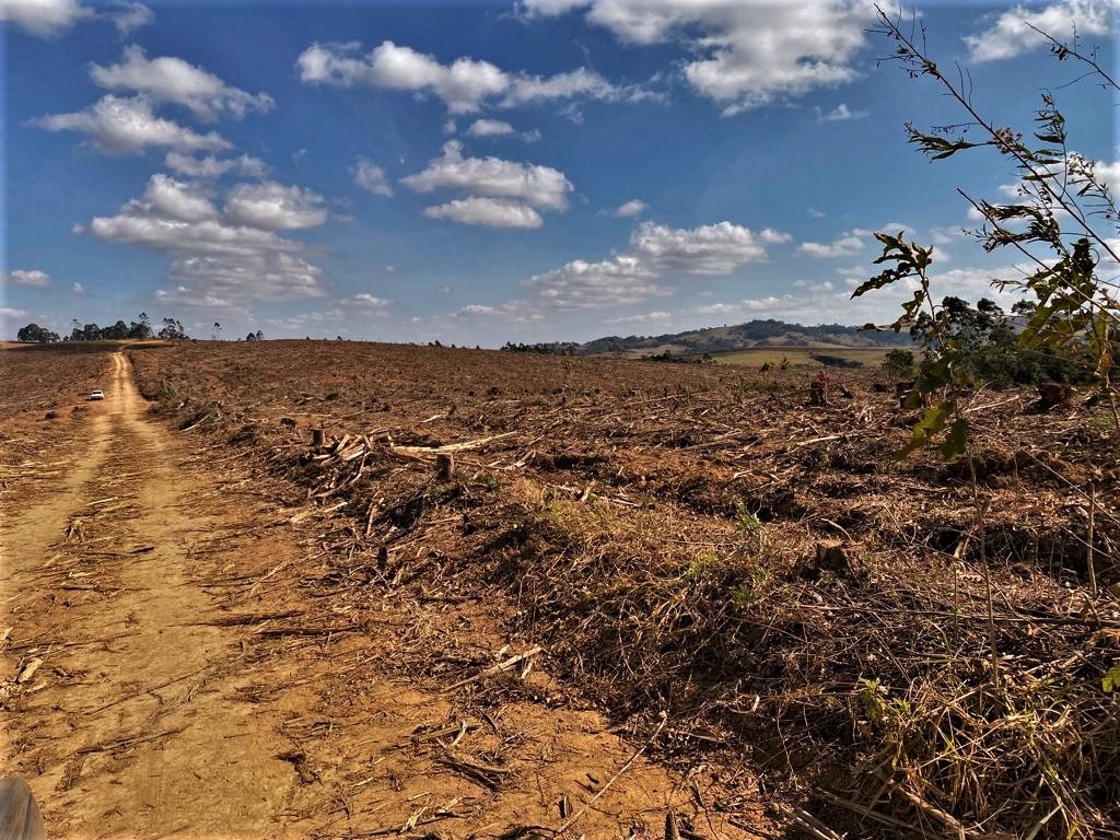 Chácara à venda com 1 quarto, 3630000m² - Foto 2