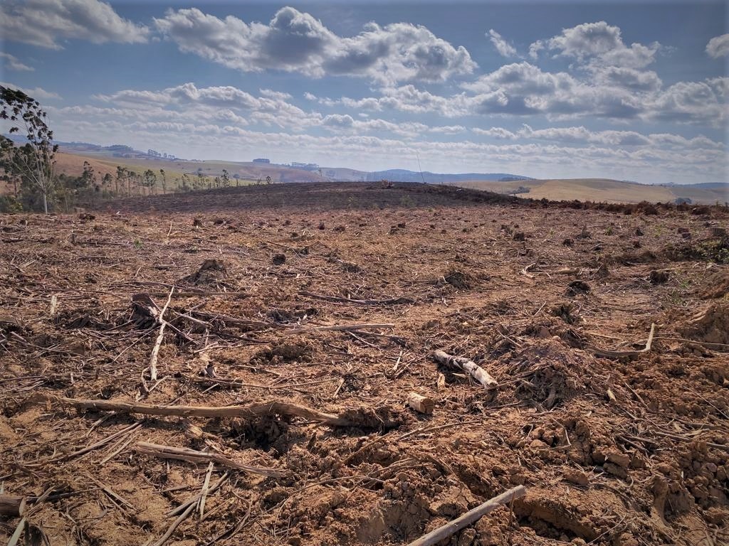 Chácara à venda com 1 quarto, 3630000m² - Foto 3