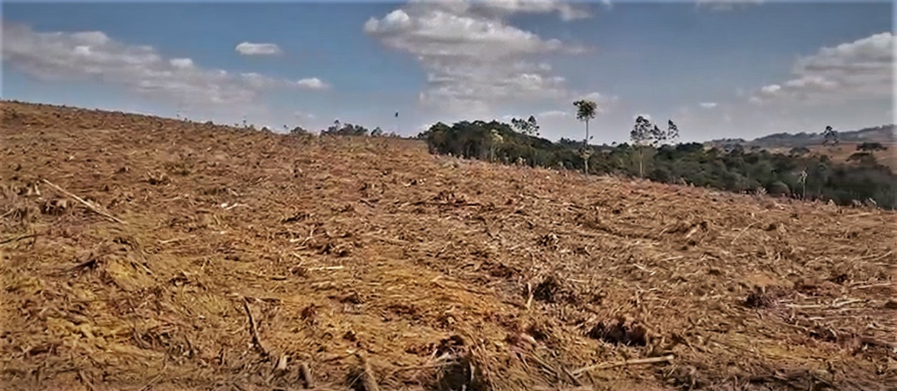 Chácara à venda com 1 quarto, 3630000m² - Foto 1