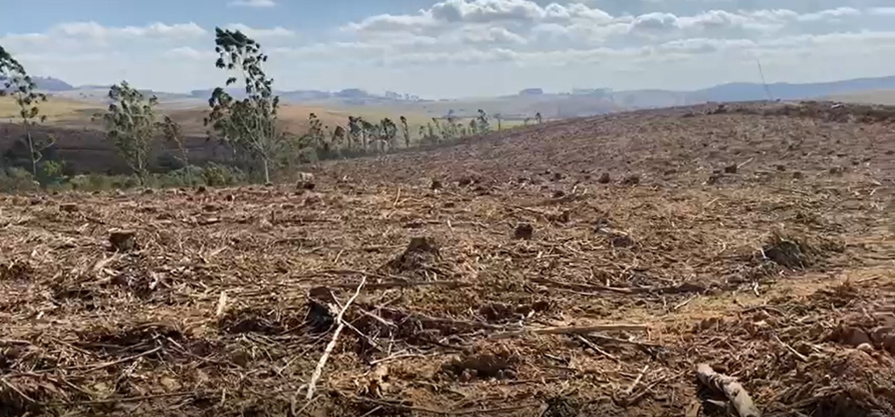 Chácara à venda com 1 quarto, 3630000m² - Foto 9