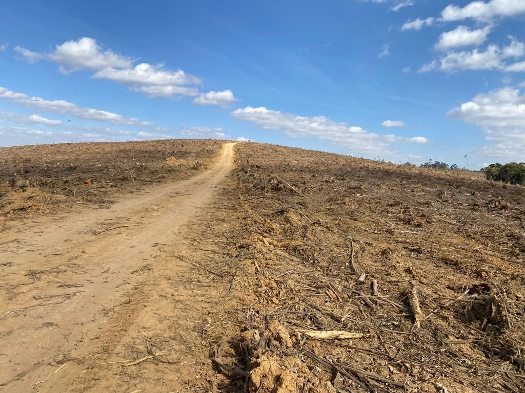 Chácara à venda com 1 quarto, 3630000m² - Foto 13