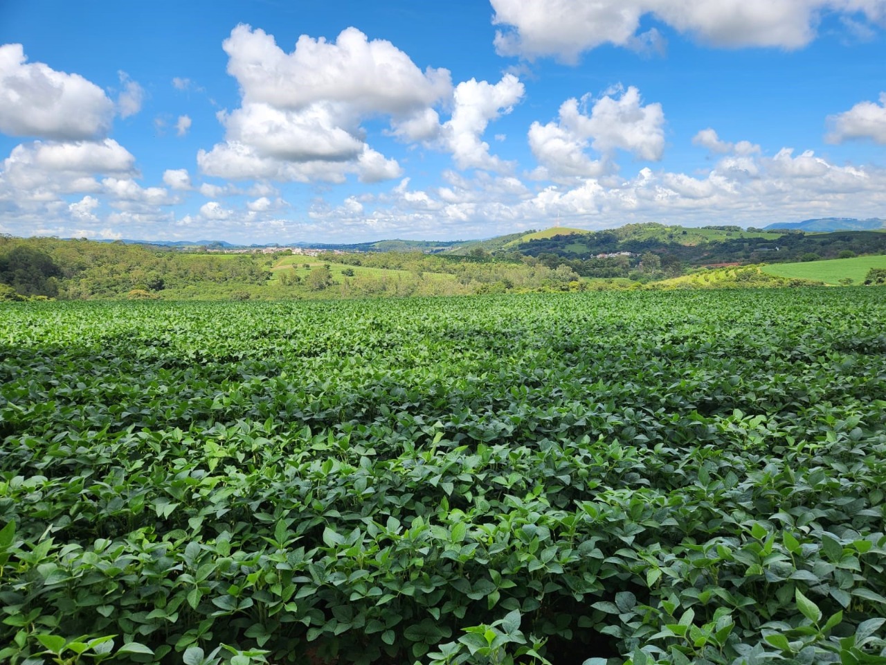 Chácara à venda com 3 quartos, 784500m² - Foto 4